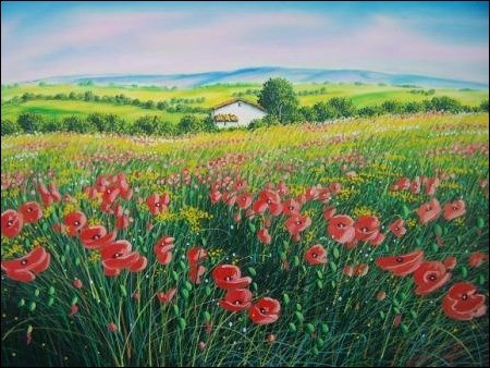 Campo di Papaveri in Abruzzo 
